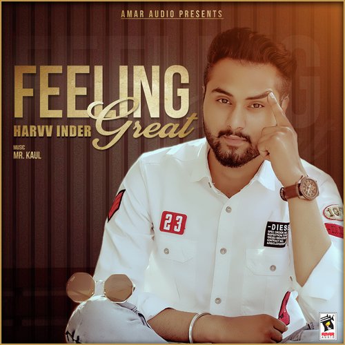 Feeling Great - Harvv Inder