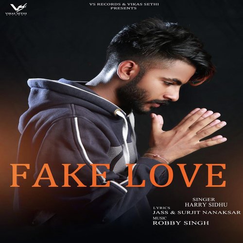 Fake Love - Harry Sidhu