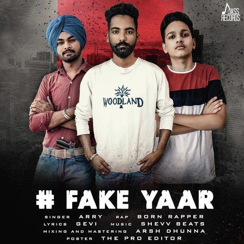 Fake Yaar - Arry