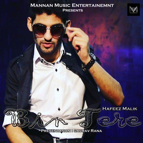 Bin Tere - Hafeez Malik