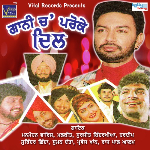 Gani Ch Paro Ke Dil - Various Artists