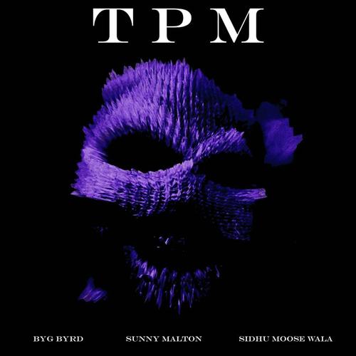 TPM (feat. Sidhu Moose Wala  Byg Byrd) - Amrit Sohi