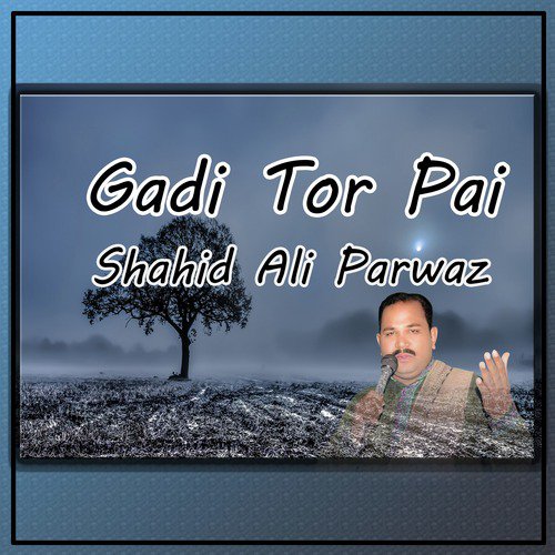 Azab Werny - Shahid Ali Parwaz