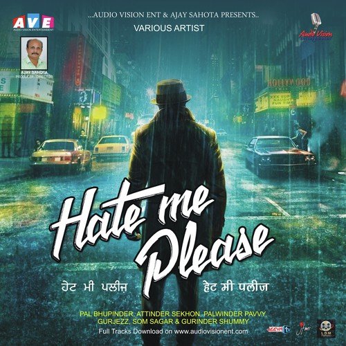 Hate Me Please - Sunny Vick