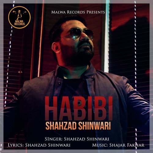 Habibi - Shahzad Shinwari