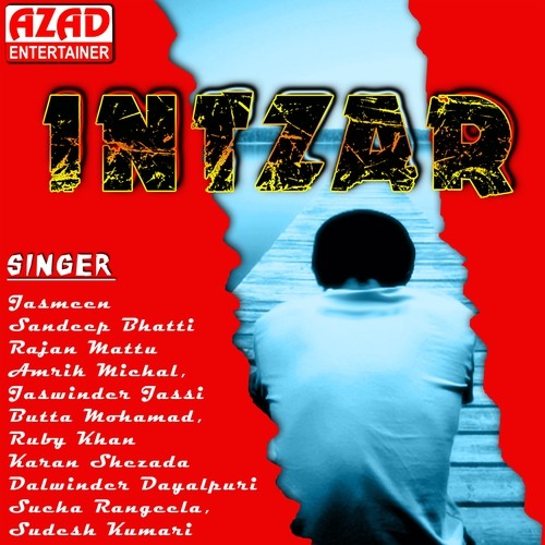 Sanu Tu Chad Gayi - Various Artists