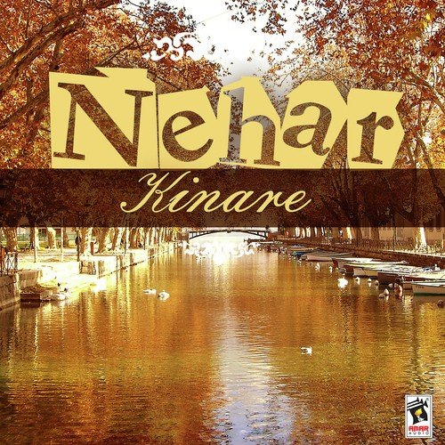 Nehar Kinaare - Sudesh Kumari
