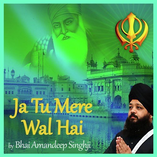 Ja Tu Mere Wal Hai - Bhai Amandeep Singh