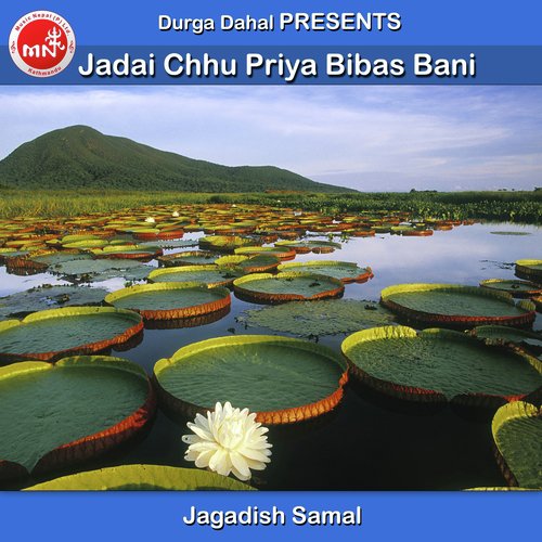 Jadai Chhu Priya Bibas Bani - Jagadish Samal