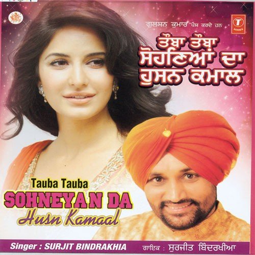 Meri Sang Khul Gai - Navi Punjabi, Renu