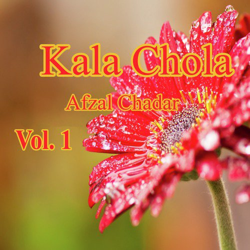 Dholiya Ranjha - Afzal Chadar