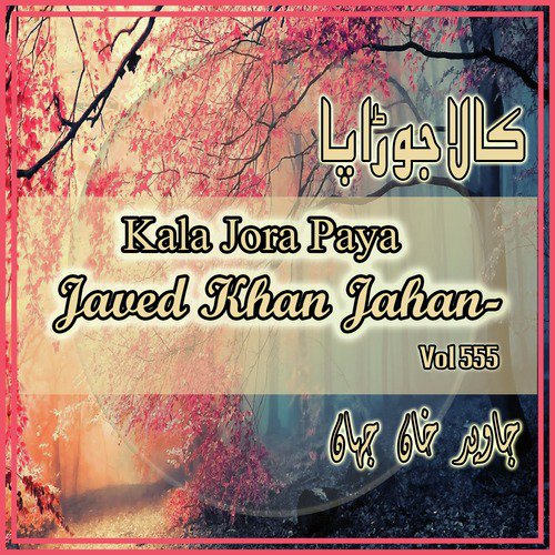 Mera Sonra Dess Hazara - Javed Khan Jahan, Nawaz Hazara
