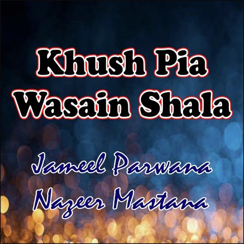 Sawanr Wasiya Rohi Was Gai - Jameel Parwana, Naseer Mastana