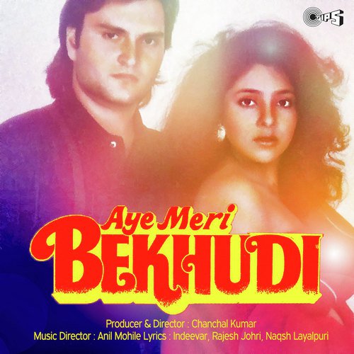 Main Hoon Zameen Tu Aasman - Anil Mohile