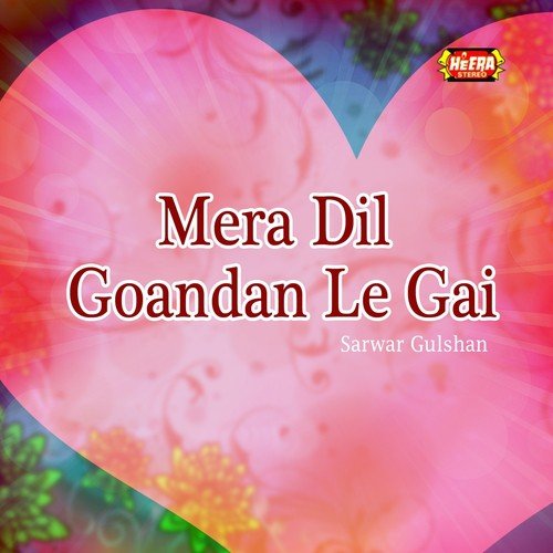 Mera Dil Goandan Le Gai - Sarwar Gulshan