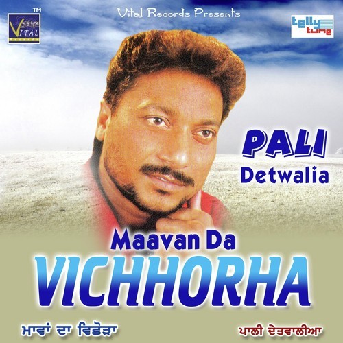 Ni Mai Tere Piche Ho Geya - Pali Detwalia