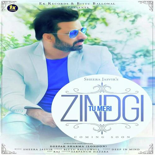 Tu Meri Zindgi - Ankit Mehta