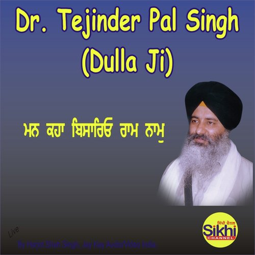 Man Kahan Bisariyo - Dr. Tejinder Pal Singh Dulla Ji