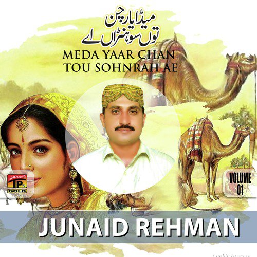 Tedha Shehar - Junaid Rehman