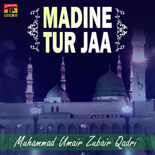 Ali Ali - Muhammad Umair Zubair Qadri