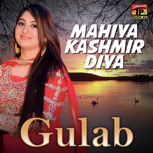 Mahiya Kashmir Diya - Gulab