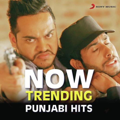 Naa Ji Naa - Various