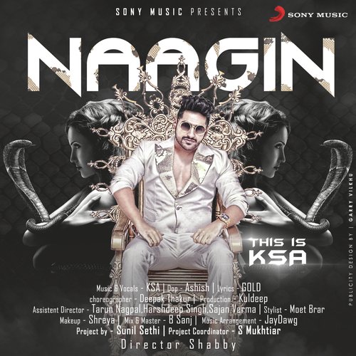 Naagin - Karan Singh Arora