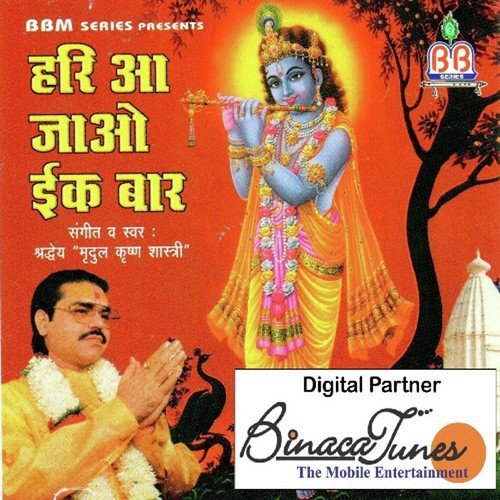 Bankey Bihari Aarti - Ananddev Mishra