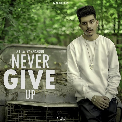 Never Give Up - Aiesle