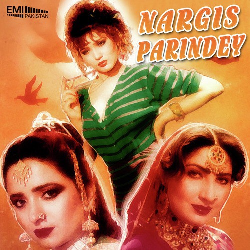 Menoon Ek Pal Chain Na (From Nargis) - M.Arshad, Zulfiqar Ali