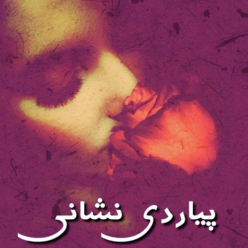 Raj Raj Karan Tenu Pyar - Various Artists