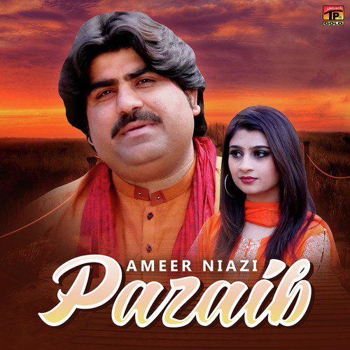 Pazaib - Ameer Niazi