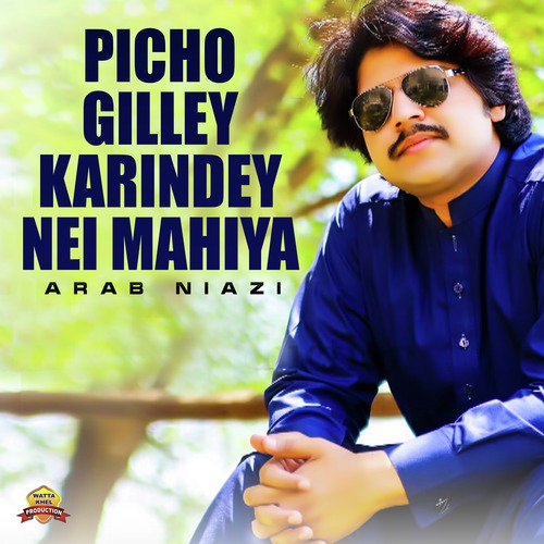 Picho Gilley Karindey Nei Mahiya - Arab Niazi