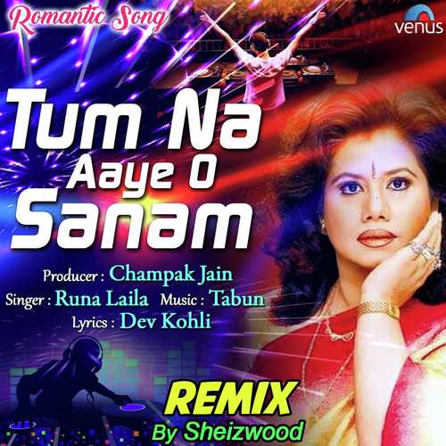 Tum Na Aaye O Sanam - Remix - Vipin Heero