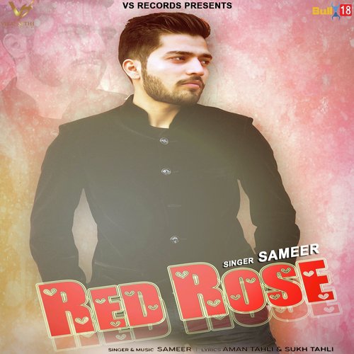 Red Rose - Sameer