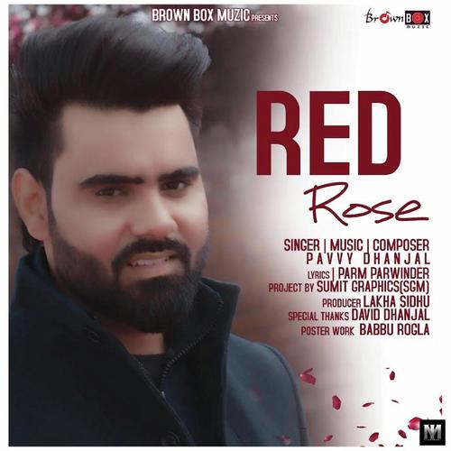 Red Rose - Pavvy Dhanjal