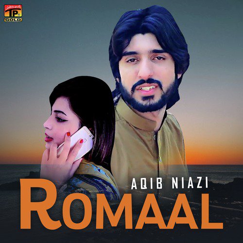 Romaal - Aqib Niazi