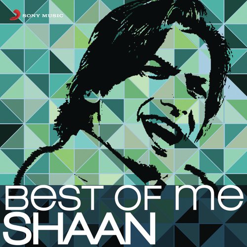 Tune Mujhe Pehchana Nahin (From Raju Chacha) - Shaan