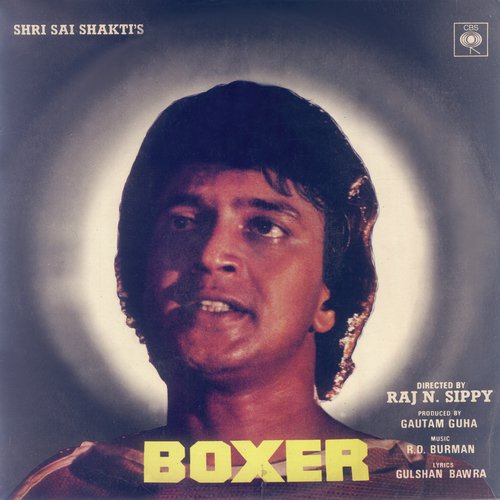 Apne Ghar Mein Ek Naya Mehmaan Aane Wala Hain - Various Artists