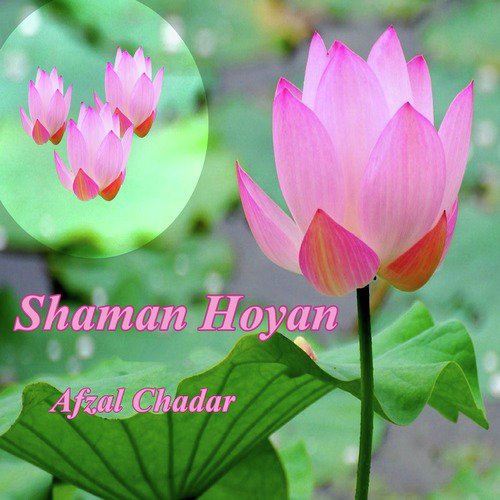 Shaman Hoyan - Afzal Chadar
