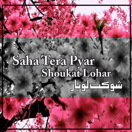 Tun Geeran Noon - Shoukat Lohar