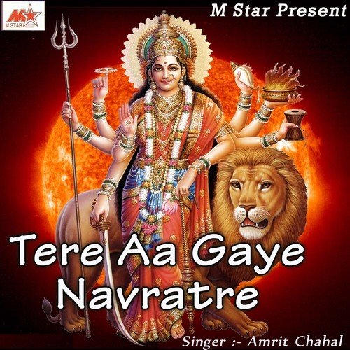 Maye Teri Fulwari - Amrit Chahal