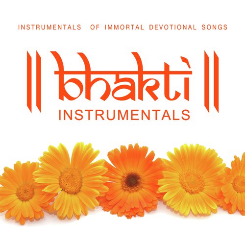 Vaishnav Janato - Various Artists