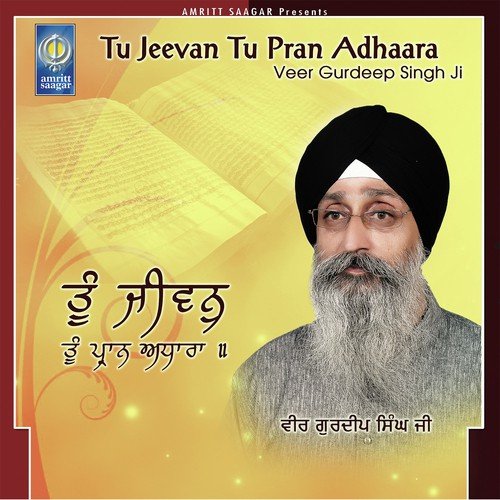 Tu Beant Ko Virla Jane - Veer Gurdeep Singh Ji