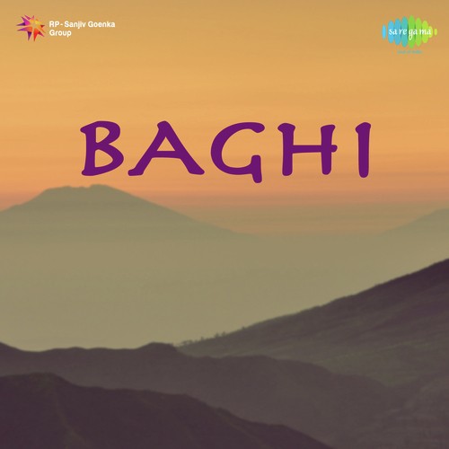 Tu Ban Ka Raja - Shanti Kumar Desai
