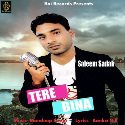 Tere Bina - Saleem Sadak