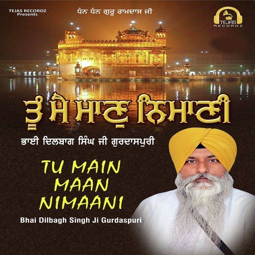 Tu Main Maan Nimaani - Bhai Dilbagh Singh Ji Gurdaspuri, Bhai Dilbagh Singh Ji Gurdaspuri