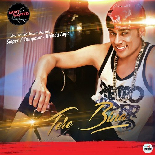 Tere Bina - Bhinda Aujla