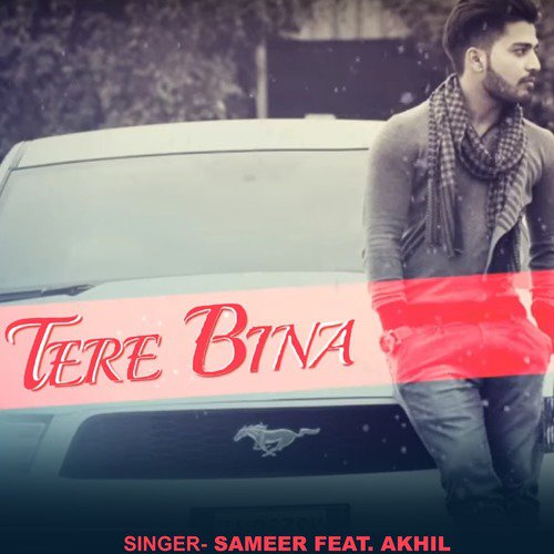 Tere Bina (feat. Akhil) - Sameer, Akhil