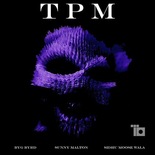 TPM (feat. Sidhu Moose Wala  BYG BYRD) - Sunny Malton